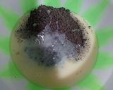 Foto langkah ke 2 dari resep Chocolate Oreo Balls.