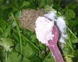 A picture of step 2 of Spicy Mint Coriander Chutney.