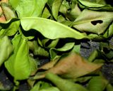 Foto langkah ke 2 dari resep Daun Jeruk Purut Bubuk (Kaffir Lime Leaf Powder).