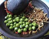 Foto langkah ke 6 dari resep Sambel penyet teri terong cempokak.