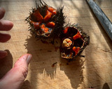Foto del paso 1 de la receta: Revuelto de erizos