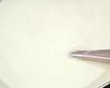 A picture of step 1 of Nolen Gurer Payesh.