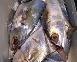Foto langkah ke 1 dari resep Pepes ikan kembung.