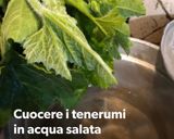 Foto del passaggio 1 della ricetta Busiate con tenerumi, zucca e fiori