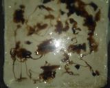 A picture of step 5 of Quick pudding.