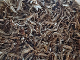 Wet fried Omena
