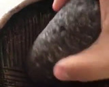 Foto del paso 6 de la receta: Amarillo de camarón (Mole)