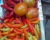 Foto langkah ke 1 dari resep Sambel kecombrang.