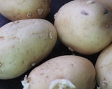 Foto del paso 7 de la receta: Cocido de judías pintas con carne y verduras