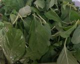 A picture of step 1 of Cholai ka saag (Amaranth loaves).