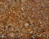 Foto del paso 2 de la receta: Lasagna a la boloñesa