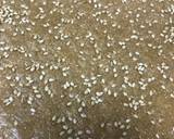 Gajak (Crispy crunchy) recipe step 6 photo