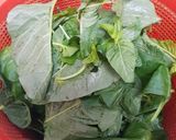 Foto langkah ke 1 dari resep Bobor bayam / bayam santan.