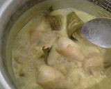 Foto langkah ke 3 dari resep Opor ayam 🐔.
