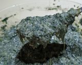 Foto del paso 2 de la receta: Muffins de espinaca