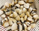 Hình bước làm 1 của món Canh bầu nấu ngao