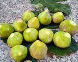 Une image de l'étape 1 de Confiture des figues blanche.