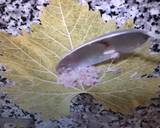 Grape Leaves Dolma 2 recipe step 3 photo
