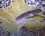 A picture of step 3 of Grape LeavesDolma 2ورق عنب.
