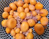 Hình bước làm 1 của món Trứng gà non xào sả ớt