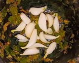 A picture of step 1 of Dahi Tikhari.