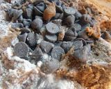 Foto del paso 3 de la receta: Cookies de coco, chocolate y chips de chocolate