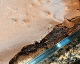 Foto del paso 4 de la receta: Brownie sin manteca