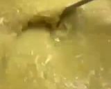 A picture of step 6 of Chicken Haleem.