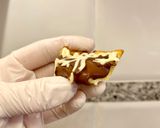 Foto del paso 14 de la receta: Delicias de chocolate, sin azúcar, sin harina de trigo