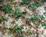 Lahsuni khata Dhokla recipe step 3 photo