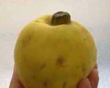 عکس مرحله 1 از دستور چای به