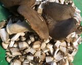 A picture of step 1 of Ravioli with Cardoncelli Mushrooms and Aspragine.