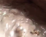Foto del paso 4 de la receta: Helado de yogur griego, chocolate y cookies