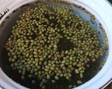Foto langkah ke 1 dari resep Bubur Kacang Hijau simpel-enak 2022-09.