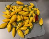 Une image de l'étape 2 de Tomates aux piments jaunes, thym, laurier et cardamome.