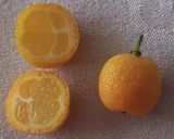 Foto del paso 1 de la receta: Licor de kumquat