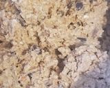 A picture of step 6 of Peanut butter oatmeal chip cookies.