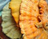 A picture of step 1 of Mushroom Stroganoff (Using Foraged Chicken Of The Woods).