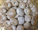 صورة لخطوة 3 من وصفة طريقة عمل كعك ومعمول العيد