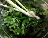 Green coriander and green garlic chutney recipe step 1 photo