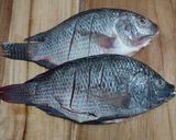 Foto langkah ke 1 dari resep Pepes Kemangi Ikan Mujair.