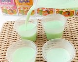Foto langkah ke 2 dari resep Pudding Melon.