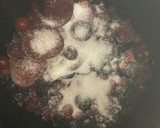 Foto del paso 1 de la receta: Mermelada de frutos rojos con panificadora