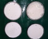 Foto del paso 5 de la receta: Panna cotta de coco