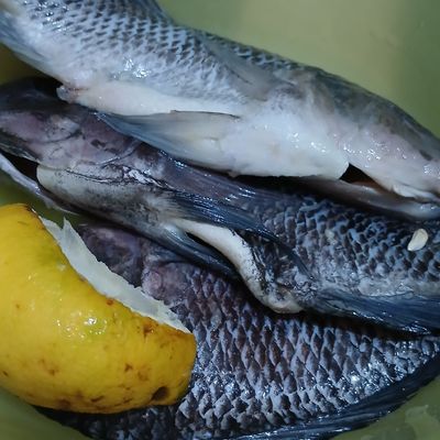 Langkah 1