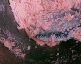 A picture of step 2 of Rooh Afza Modak.