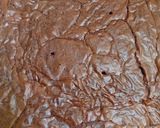 Foto langkah ke 5 dari resep Brownies.