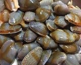 炒海瓜子 Stir Fried Clams with Basil的食譜步驟4照片