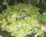 Foto langkah ke 5 dari resep Ikan goreng tepung sambal kemangi praktis.
