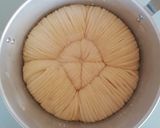 Foto del passaggio 11 della ricetta Wool roll bread pan brioche gomitolo di lana con metodo milk roux 🌷